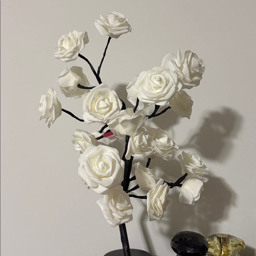 Meet your Posher, Byron